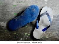 The CEO Who Wore&nbsp;Slippers