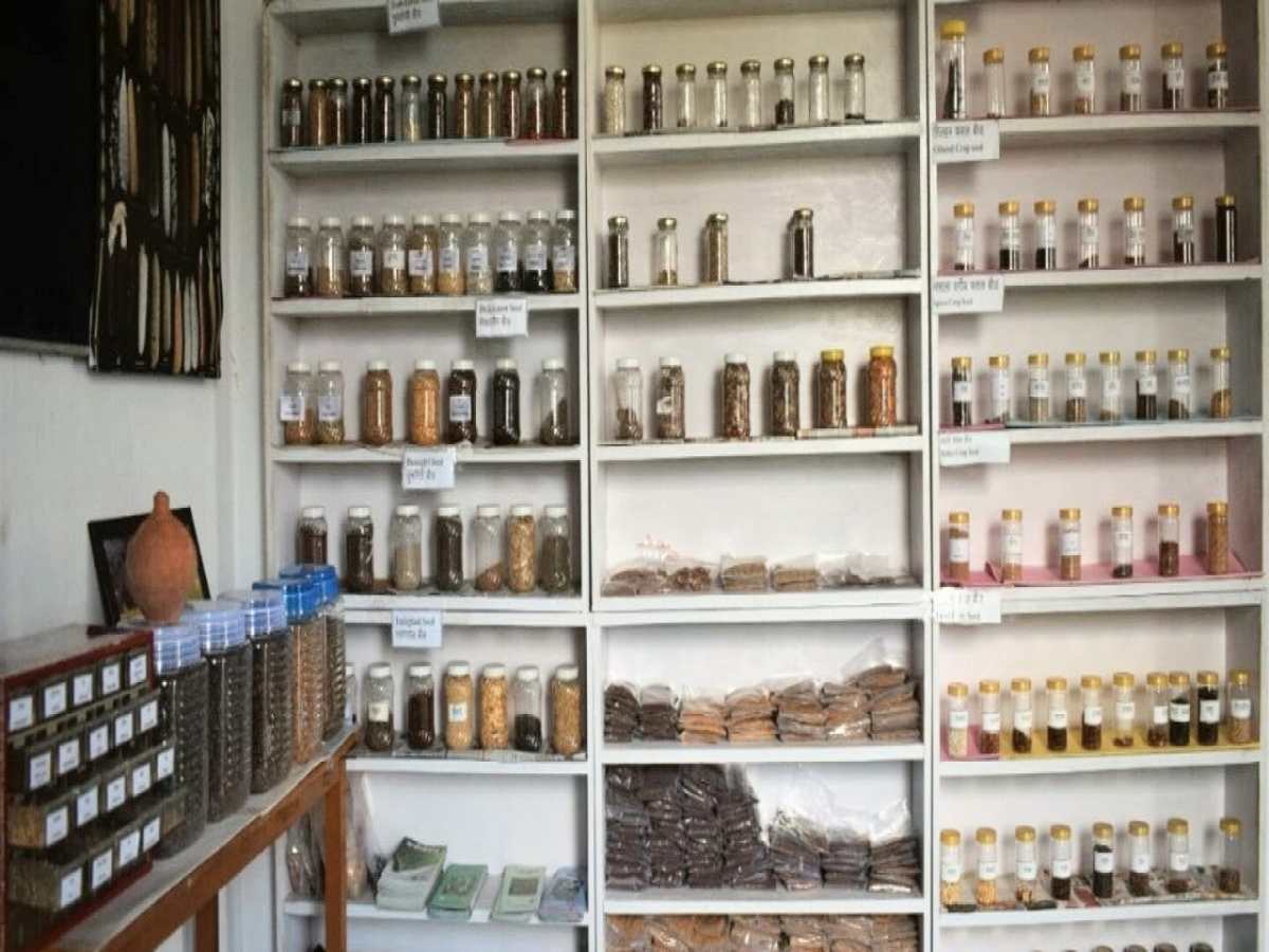 Seed Banks: Context and&nbsp;Significance